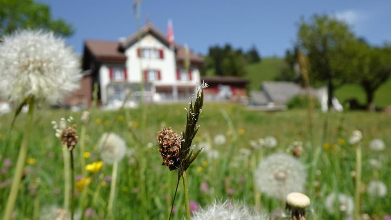 Gasthaus Schwand Энгельберг Экстерьер фото